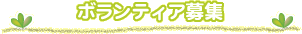 �{�����e�B�A��W