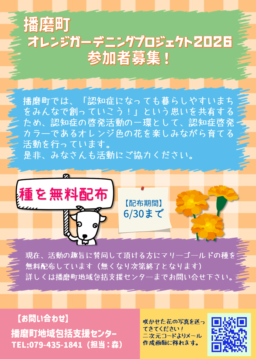 �摜